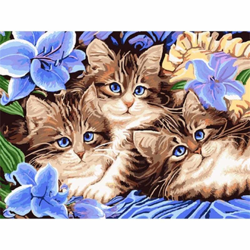 Cat Diy Painti By Numbers Kits PBN55318 - NEEDLEWORK KITS