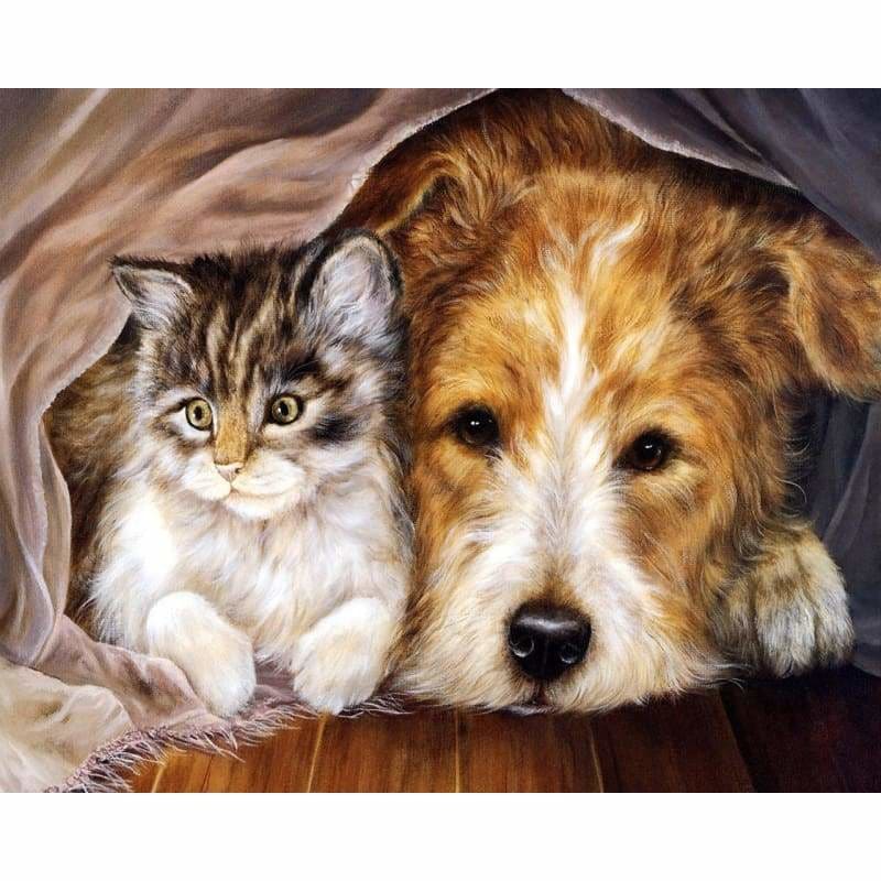 Cat Dog Diy Paint By Numbers Kits VM97866 - NEEDLEWORK KITS