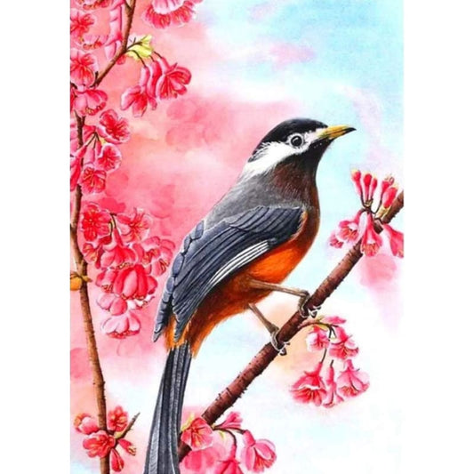 Colorful Bird Diy Paint By Numbers Kits PBN97916 - NEEDLEWORK KITS