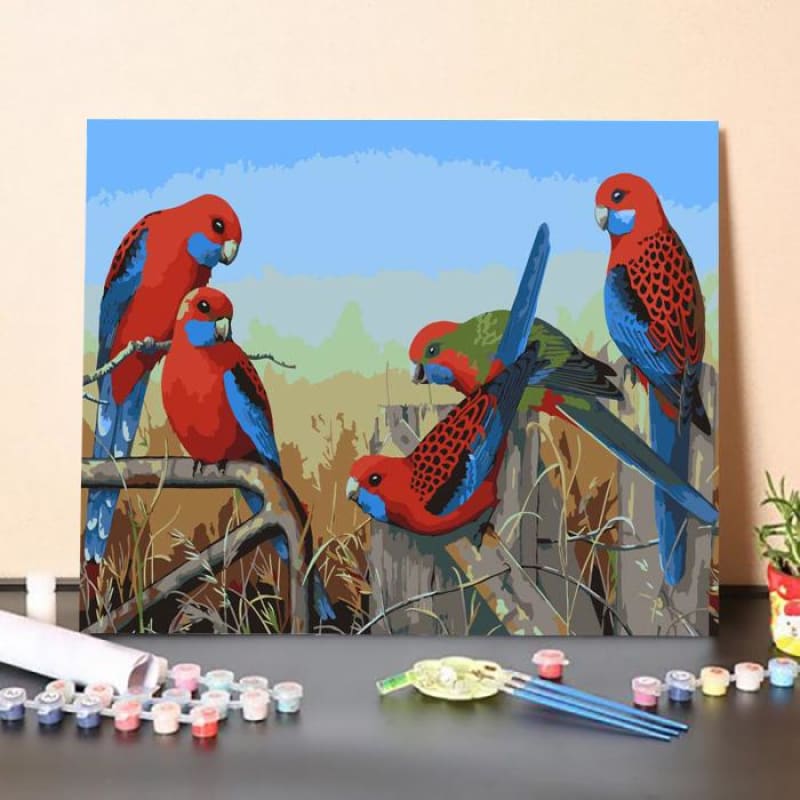 Crimson Rosellas