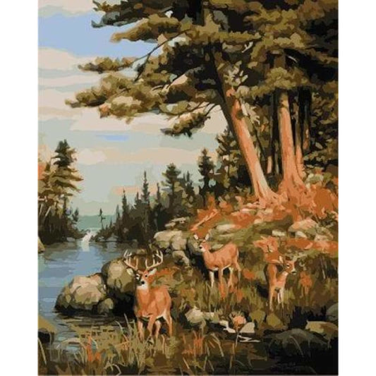 Deer Diy Paint By Numbers Kits ZXB872 - NEEDLEWORK KITS