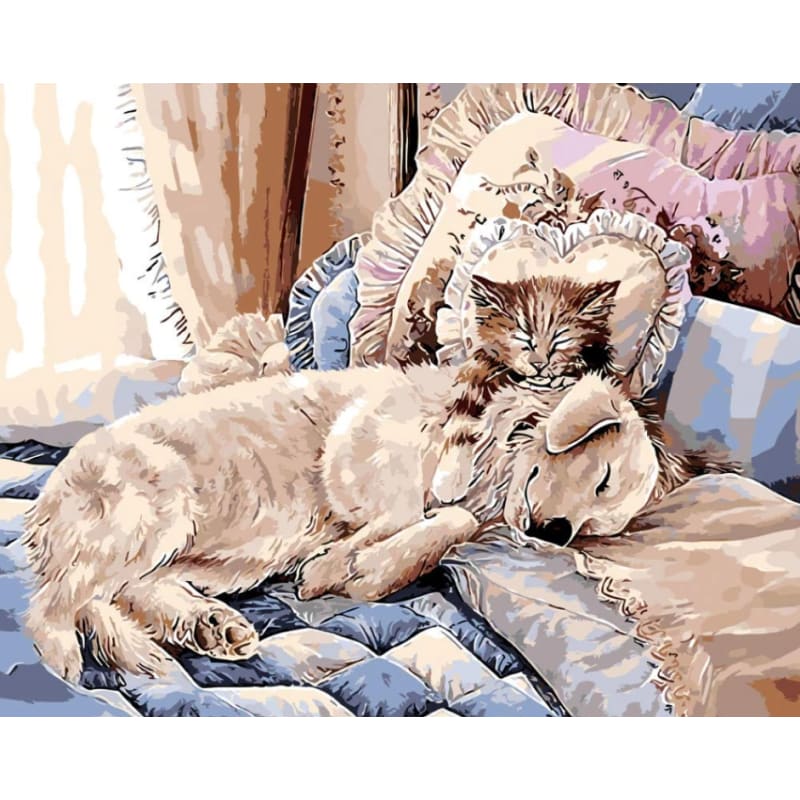 Dog Cat Diy Paint By Numbers Kits PBN95730 - NEEDLEWORK KITS