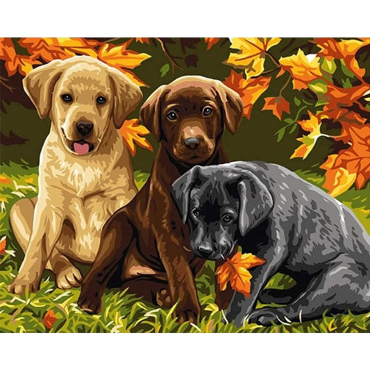 Dog Diy Paint By Numbers Kits PBN92400 - NEEDLEWORK KITS