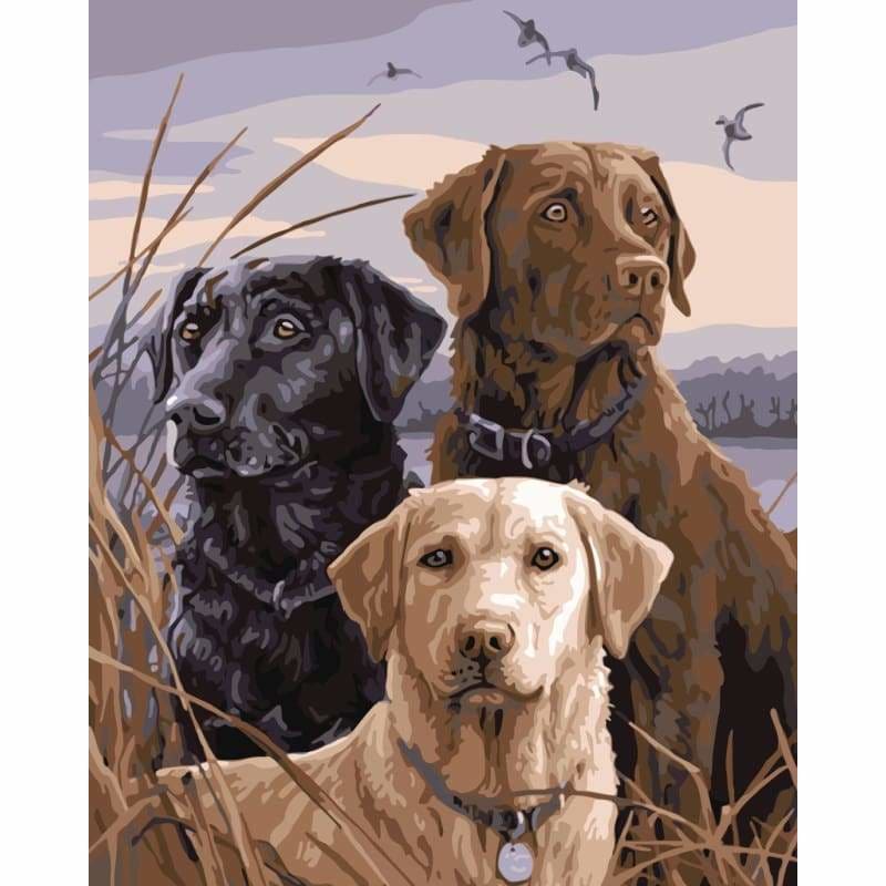 Dog Diy Paint By Numbers Kits WM-068 - NEEDLEWORK KITS