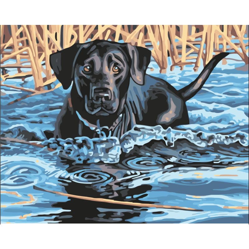 Dog Diy Paint By Numbers Kits WM-232 - NEEDLEWORK KITS