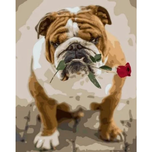 Dog Diy Paint By Numbers Kits ZXQ1785 - NEEDLEWORK KITS