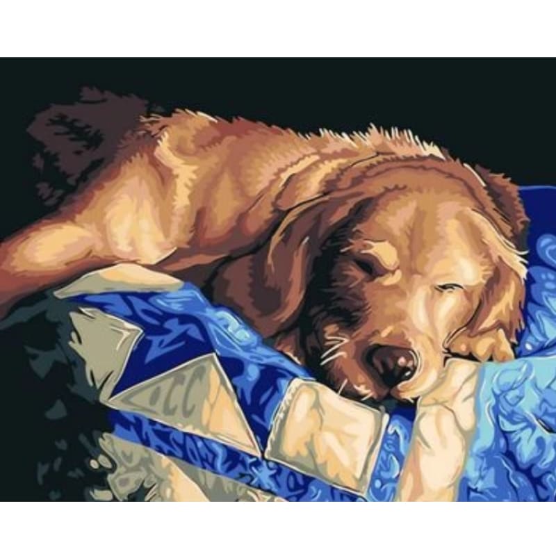 Dog Diy Paint By Numbers Kits ZXQ1794 - NEEDLEWORK KITS