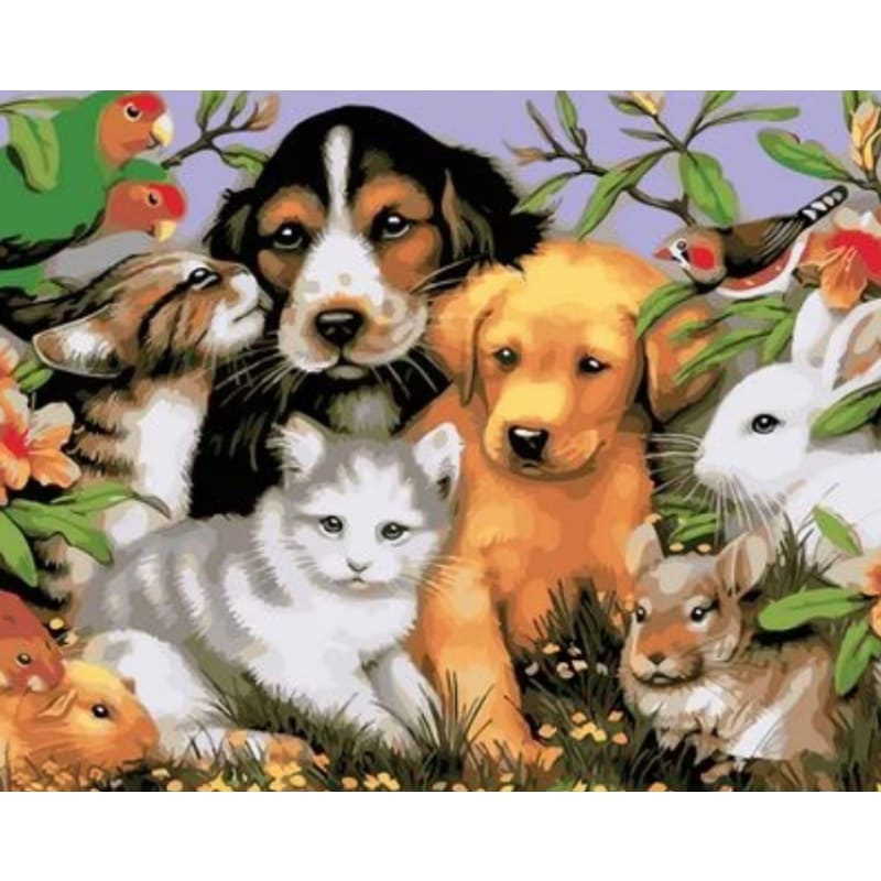 Dog Diy Paint By Numbers Kits ZXQ1904 - NEEDLEWORK KITS