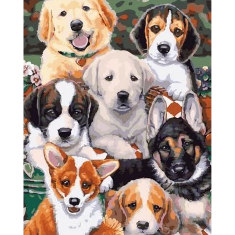 Dog Diy Paint By Numbers Kits ZXQ2516 - NEEDLEWORK KITS