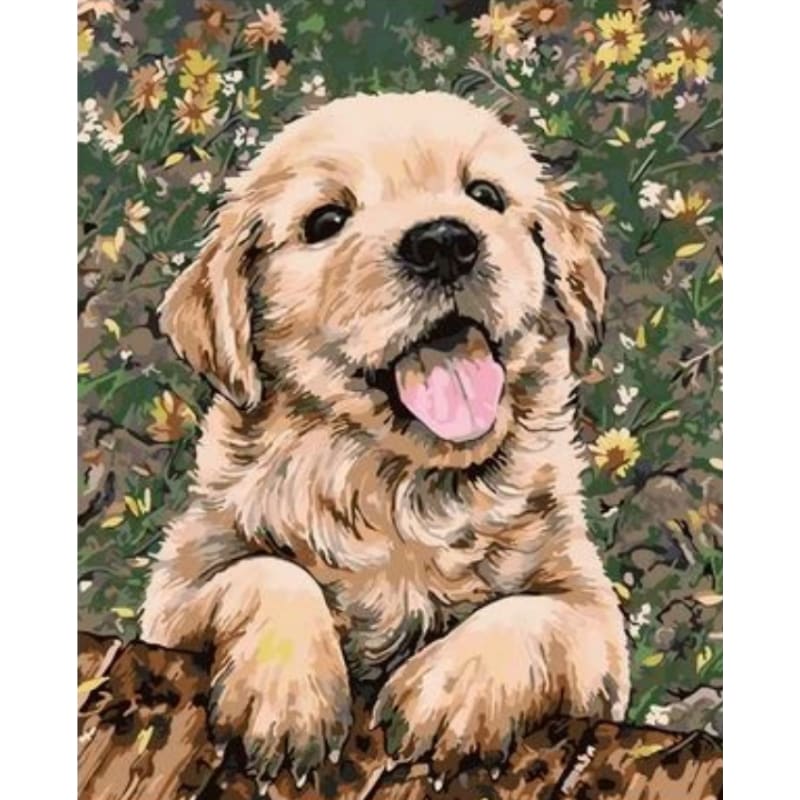 Dog Diy Paint By Numbers Kits ZXQ2562 - NEEDLEWORK KITS