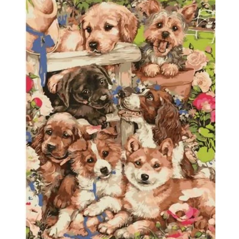 Dog Diy Paint By Numbers Kits ZXQ2564 - NEEDLEWORK KITS