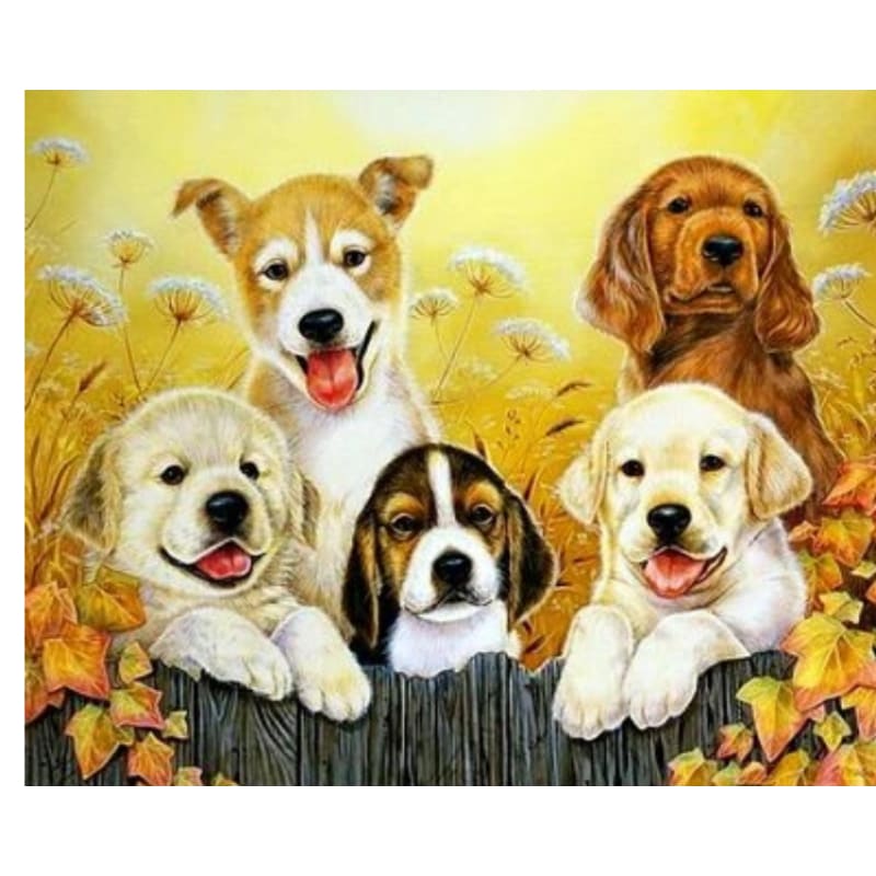 Dog Diy Paint By Numbers Kits ZXQ2594 - NEEDLEWORK KITS