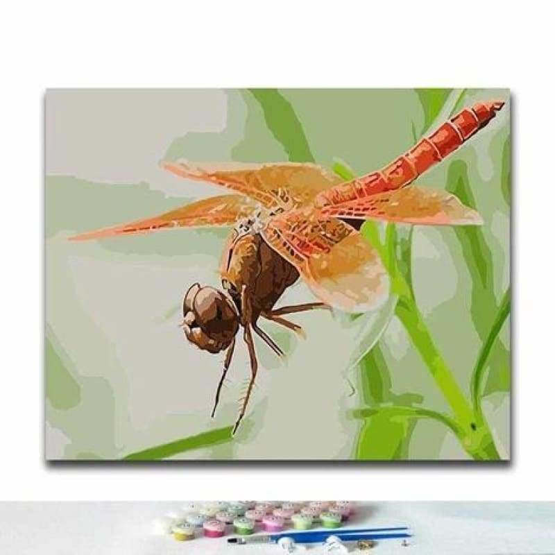 Dragonfly  Diy Paint By Numbers Kits PBN30239 - NEEDLEWORK KITS