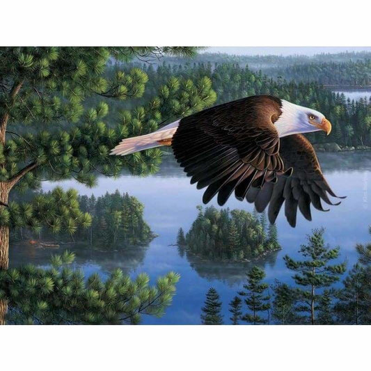 Eagle Diy Paint By Numbers Kits PBN96054 - NEEDLEWORK KITS