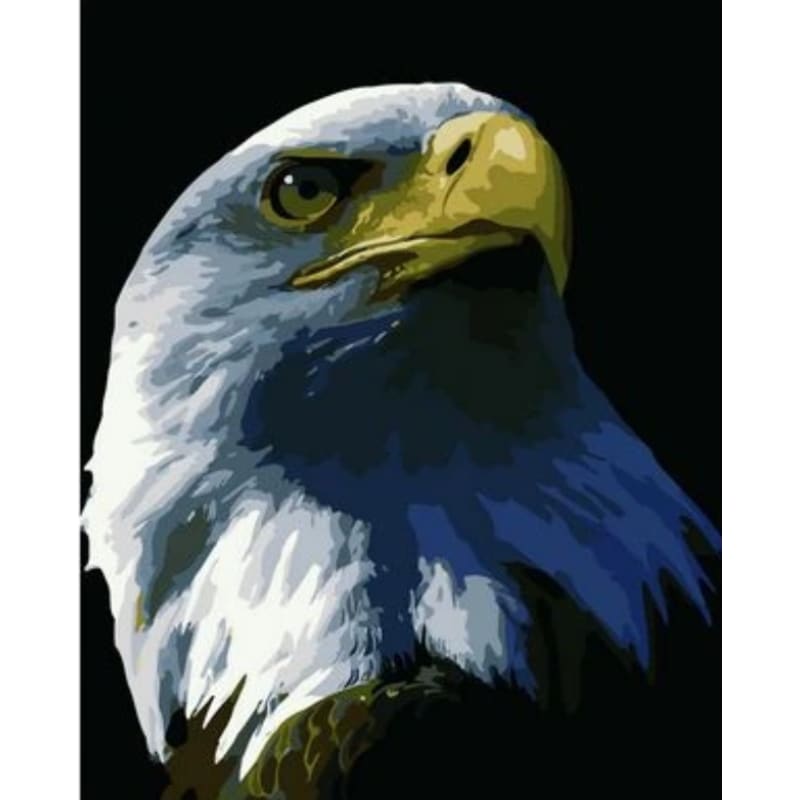 Eagle Diy Paint By Numbers Kits ZXQB081 - NEEDLEWORK KITS