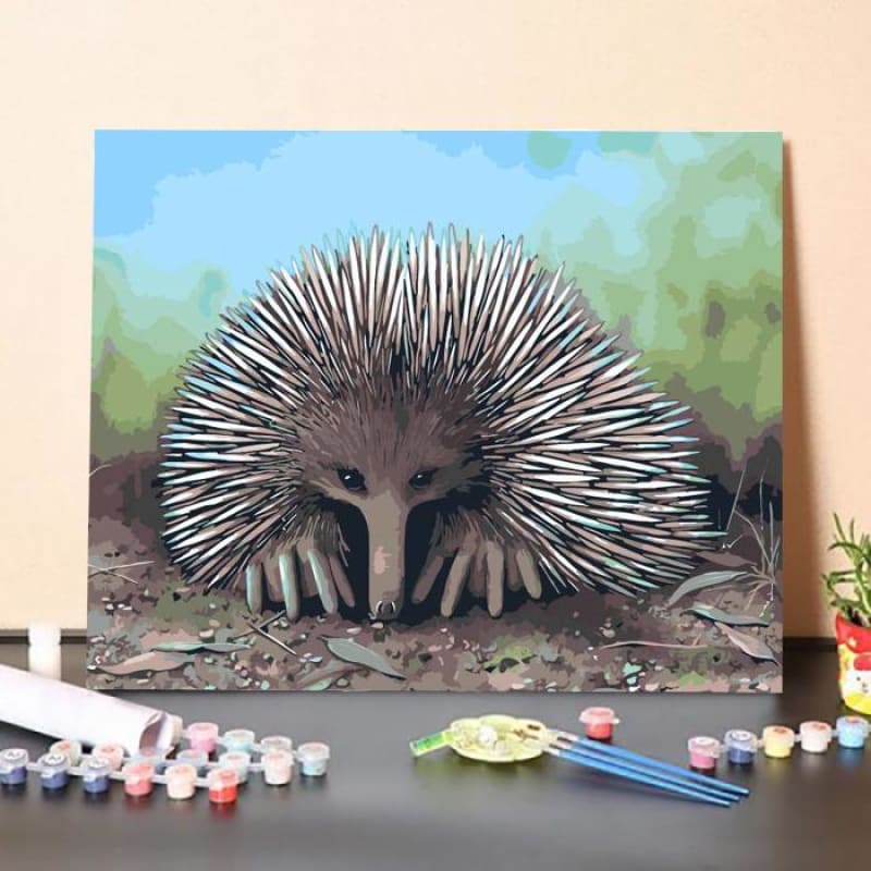 Echidna