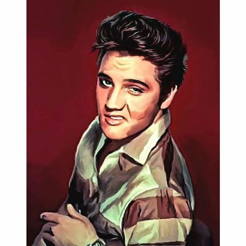 Elvis Presley Diy Paint By Numbers Kits PBN96228 - NEEDLEWORK KITS