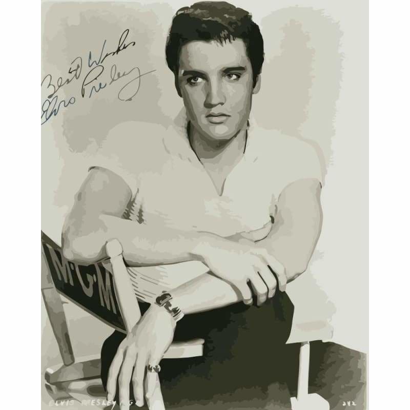 Elvis Presley Diy Paint By Numbers Kits WM-1754 - NEEDLEWORK KITS