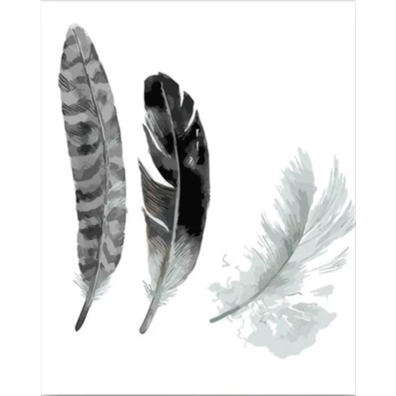 Feather Diy Paint By Numbers Kits PBN30150 - NEEDLEWORK KITS