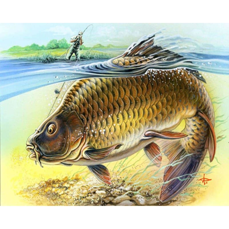 Fish Diy Paint By Numbers Kits VM30175 - NEEDLEWORK KITS