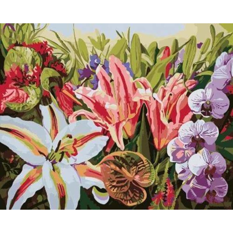 Flower Diy Paint By Numbers Kits ZXB626 - NEEDLEWORK KITS