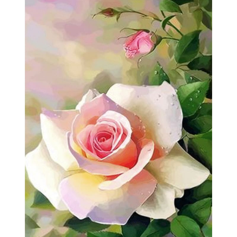 Flower Diy Paint By Numbers Kits ZXQ2780 - NEEDLEWORK KITS