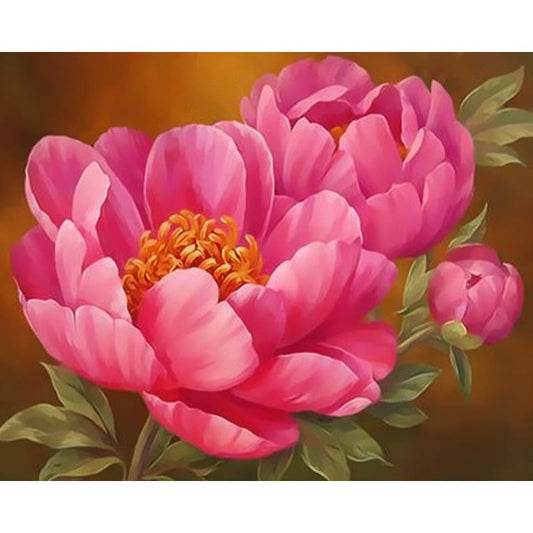 Flower Diy Paint By Numbers Kits ZXQ3188 - NEEDLEWORK KITS