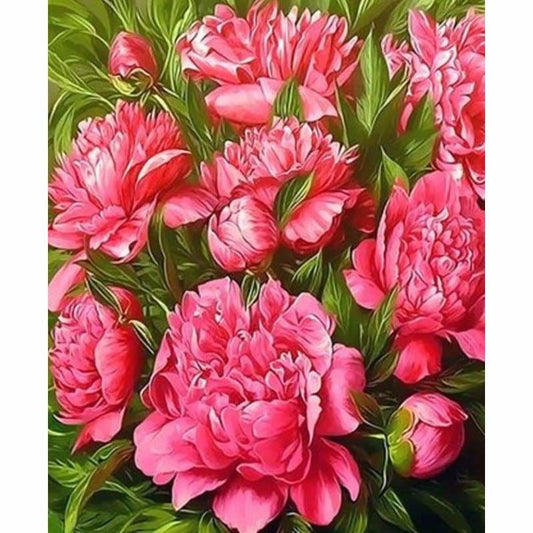 Flower Diy Paint By Numbers Kits ZXQ3403 - NEEDLEWORK KITS