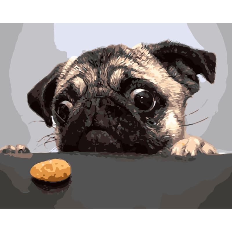 Funny Dog Diy Paint By Numbers Kits WM-145 - NEEDLEWORK KITS