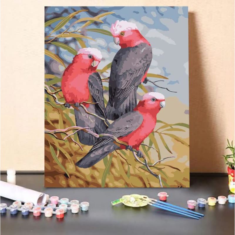 Galahs