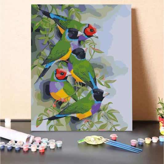 Gouldian Finches