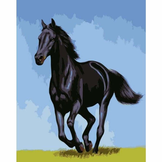 Horse Diy Paint By Numbers Kits PBN92635 - NEEDLEWORK KITS