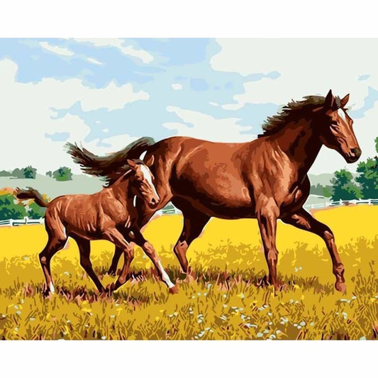 Horse Diy Paint By Numbers Kits WM-1103 - NEEDLEWORK KITS