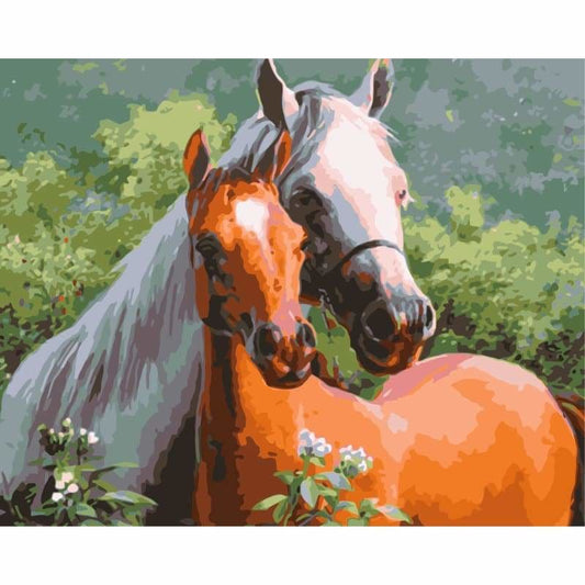 Horse Diy Paint By Numbers Kits WM-1795 - NEEDLEWORK KITS