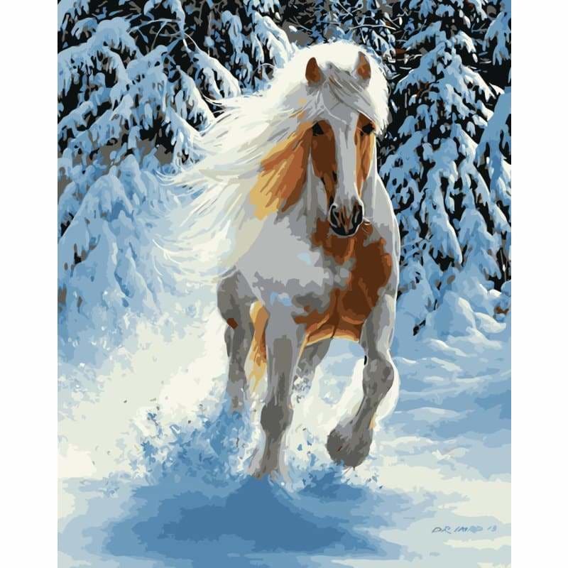 Horse Diy Paint By Numbers Kits WM-187 - NEEDLEWORK KITS