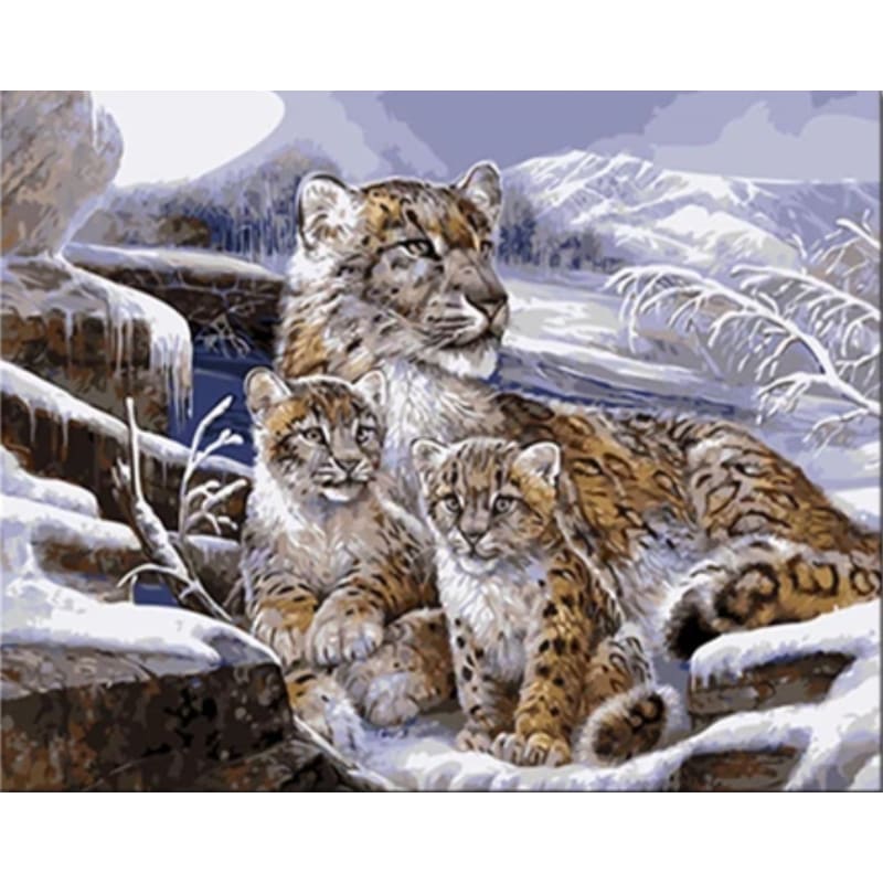 Leopard Diy Paint By Numbers Kits VM30083 - NEEDLEWORK KITS