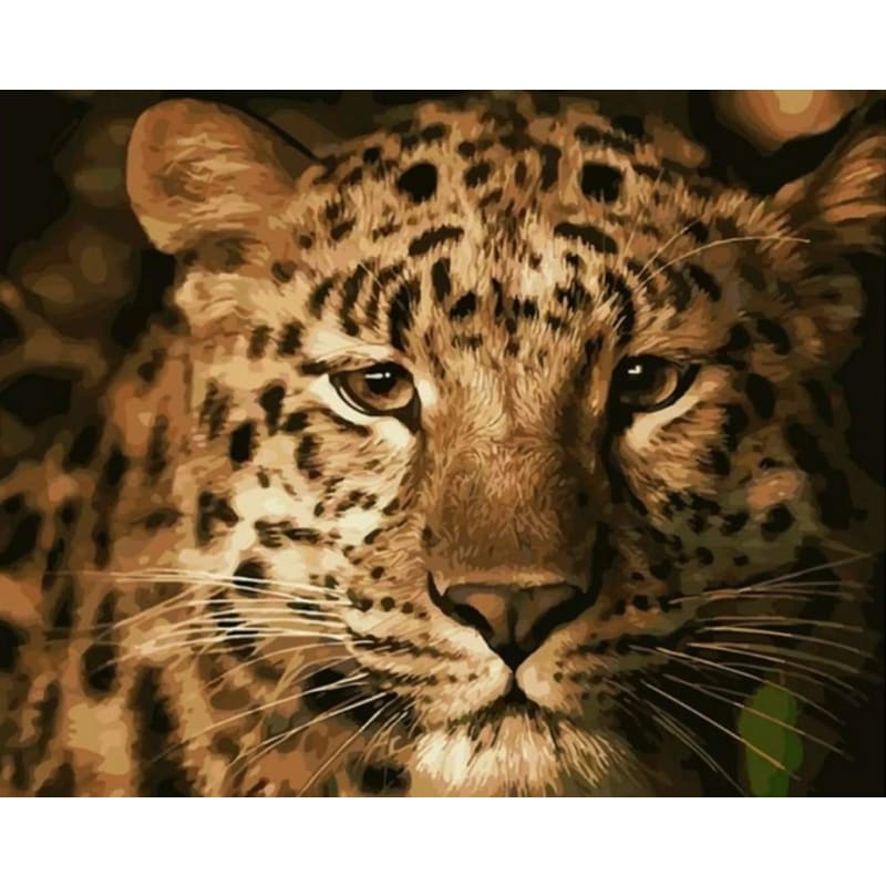 Leopard Diy Paint By Numbers Kits VM96519 - NEEDLEWORK KITS