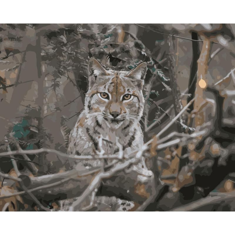 Leopard Diy Paint By Numbers Kits WM-1657 - NEEDLEWORK KITS