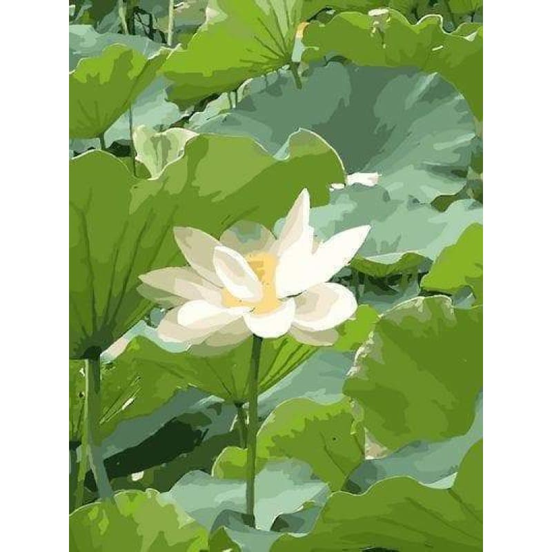 Lotus Diy Paint By Numbers Kits ZXQ055 - NEEDLEWORK KITS