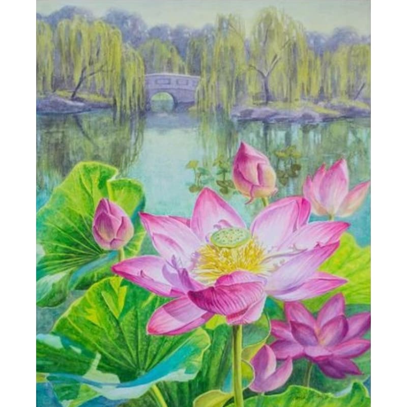 Lotus Diy Paint By Numbers Kits ZXQ3415 - NEEDLEWORK KITS