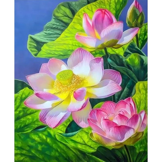 Lotus Diy Paint By Numbers Kits ZXQ3418 - NEEDLEWORK KITS