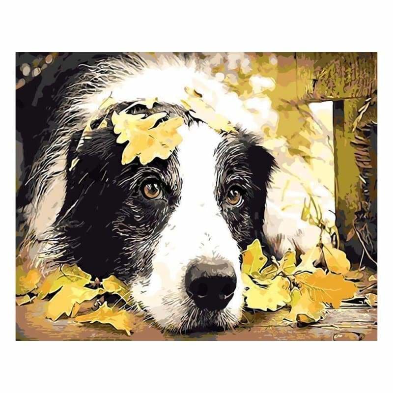 Lovely Dog Diy Paint By Numbers Kits VM95931 - NEEDLEWORK KITS