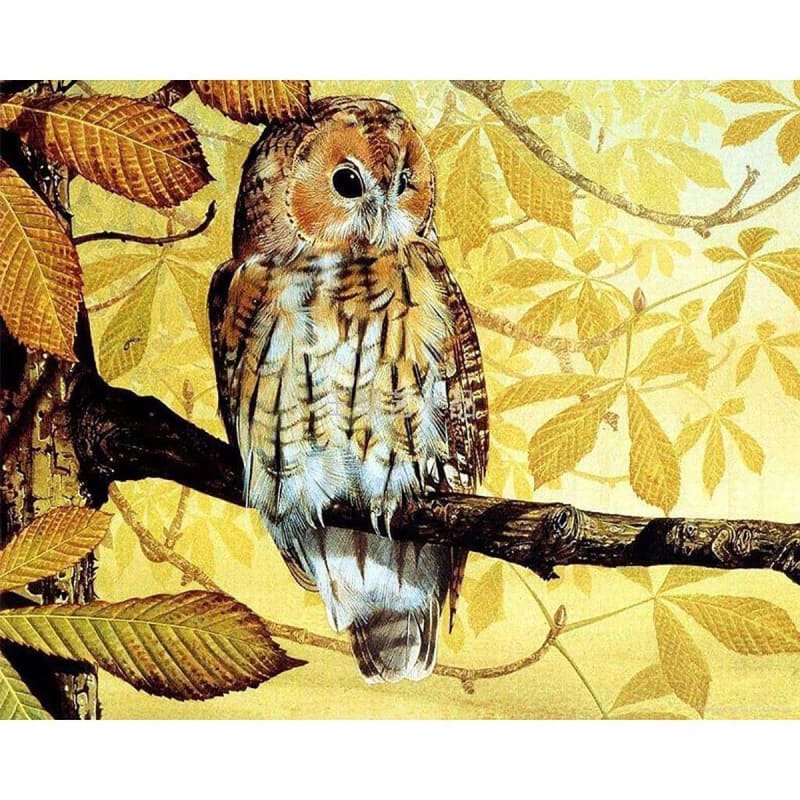 Owl Diy Paint By Numbers Kits PBN91457 - NEEDLEWORK KITS