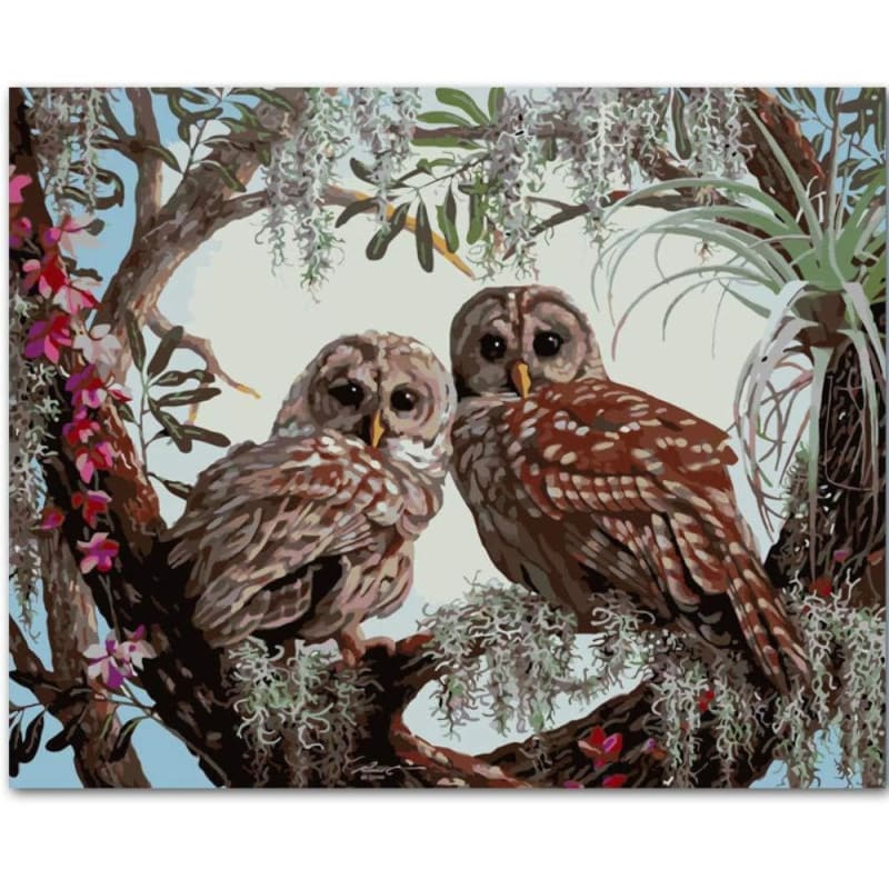 Owl Diy Paint By Numbers Kits VM90236 ZXQ2863 - NEEDLEWORK KITS