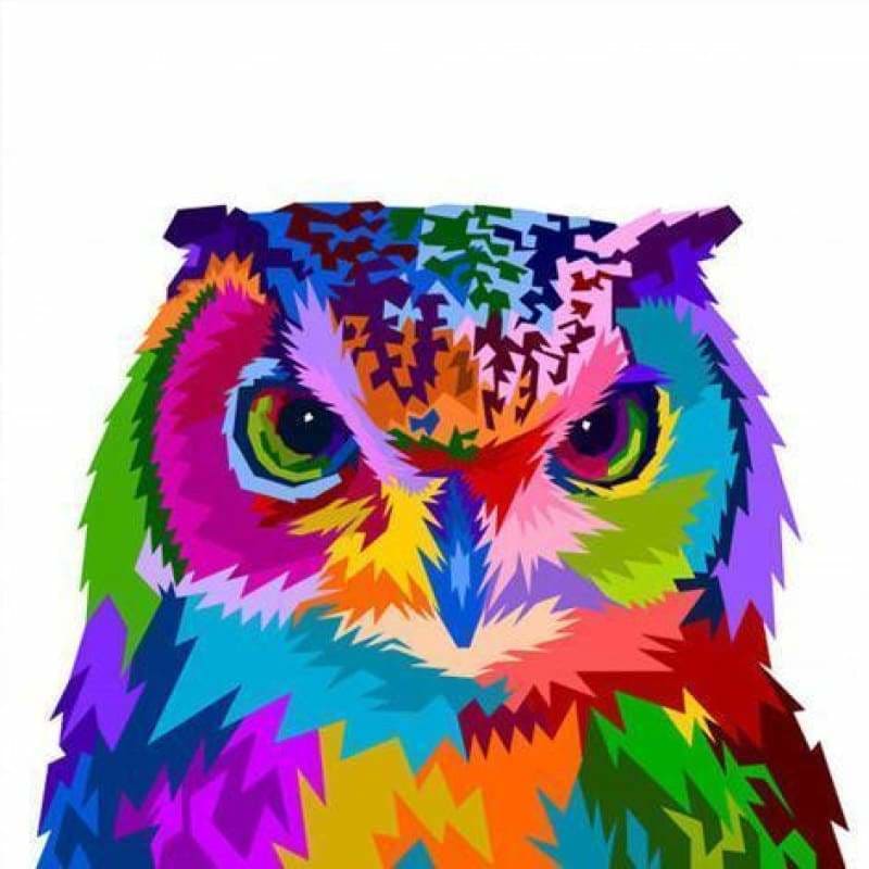 Owl Diy Paint By Numbers Kits VM92156 - NEEDLEWORK KITS