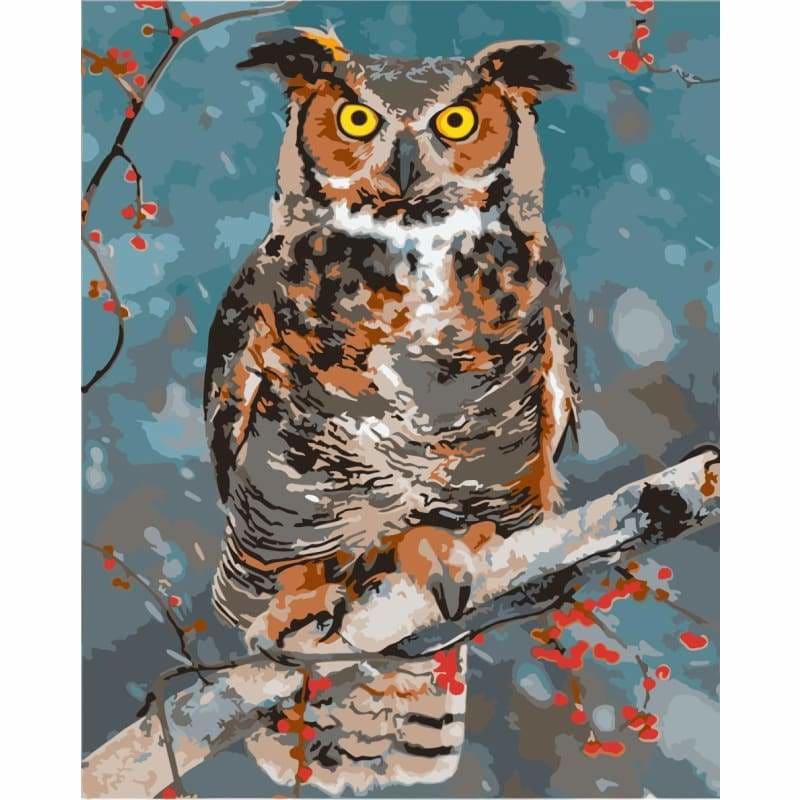 Owl Diy Paint By Numbers Kits WM-1345 ZXQ3745 - NEEDLEWORK KITS