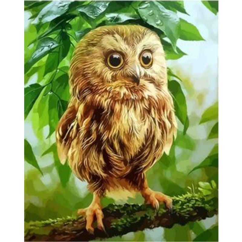 Owl Diy Paint By Numbers Kits ZXQ2787 - NEEDLEWORK KITS