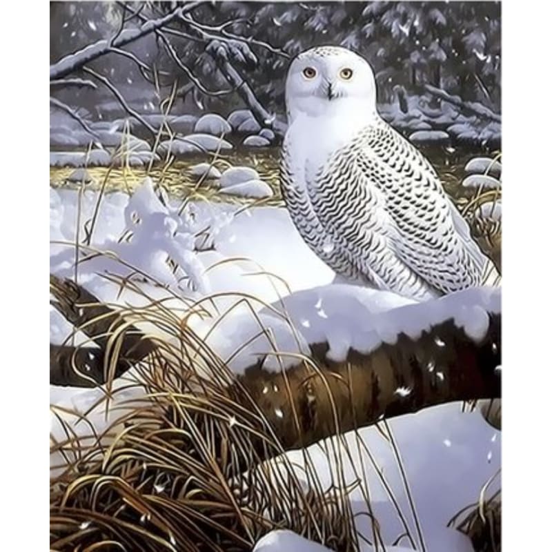 Owl Diy Paint By Numbers Kits ZXQ3318 - NEEDLEWORK KITS