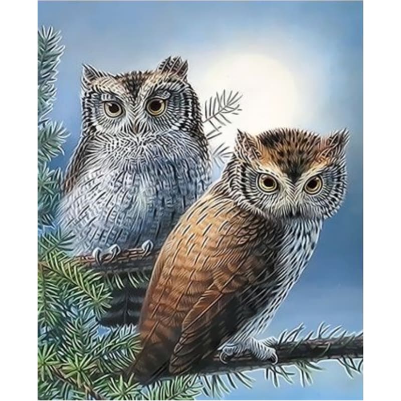 Owl Diy Paint By Numbers Kits ZXQ3350 - NEEDLEWORK KITS