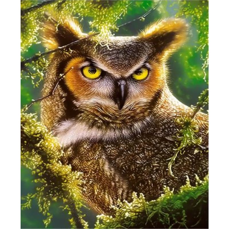 Owl Diy Paint By Numbers Kits ZXQ3676 - NEEDLEWORK KITS